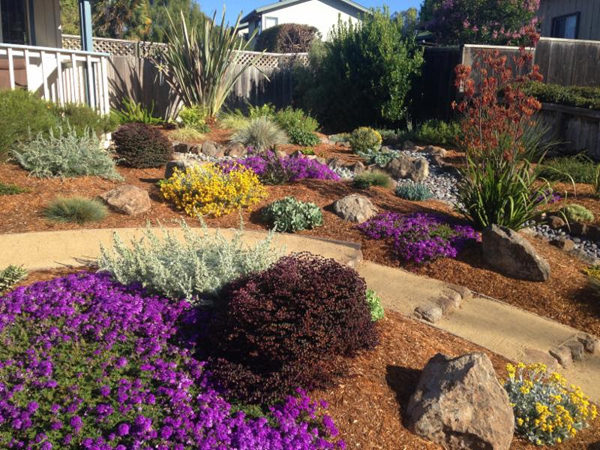 The Case For Xeriscape