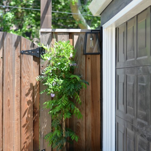 Let There Be (Garage) Lights!..And Wisteria!