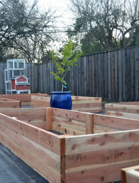 #thecottagebungalow Potager: Raised Beds & Cottage Border Build - SG Style